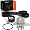 Frankberg Kit Cinghia di Distribuzione Frankberg 1x con Pompa Acqua per Citroën Berlingo C2 C3 Peugeot 306 206 7883-13067 KP15574XS