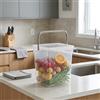 NONE Contenitore da 5 litri con manico in plastica, ermetico per cibo per cani, cereali e alimenti, trasparente e riutilizzabile