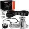 Frankberg Kit Cinghia di Distribuzione Frankberg 1x con Pompa Acqua per Ford B-Max Fiesta V VI Focus Fusion KP35669XS 7883-13280