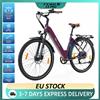 Bicicletta Elettrica TTGO C3 PRO 250W 36V20Ah CST Pneumatici 28"*2.0 Freno a Disco Idraulico Autonomia Massima 120 KM con Display LCD - 2 Vendute