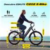 NONE Bicicletta elettrica per adulti ESKUTE C202, potenza 250W, 48V 17.5AH, autonomia 50-80km, bici elettrica per tutti i terreni.