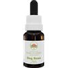 QOWRKRQ Australian Bush Flower Essences Dog Rose 15ml