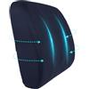 Ainiv Cuscino Lombare, in Memory Foam, per Sedile, Ortopedico Coccige, Supporto Schiena per Ufficio, Auto, Divano, Sedie Rotelle, Gaming, Fodera Lavabile