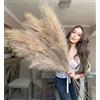 VOULUX - Erba pampas artificiale da 115 cm, con 18 steli, colore: oro