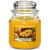 Yankee Candle Candela profumata in giara media | Salsa di mango alla pesca | Durata Fino a 75 Ore