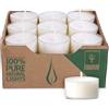 Wenzel-Kerzen Wenzel Tealight 4h - Set di 27 lumini vegani di colza - neutri di CO2 senza alluminio - custodia trasparente - Made in Germany - Candeline per piramidi, Natale ed emergenza, senza plastica e