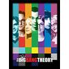 Pyramid International The Big Bang Theory (Signals - Stampa incorniciata, 30 x 40 cm