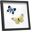 EUGAD Cornice 3D per Foto 40x40cm, Portafoto da Parete/Tavolo, Cornice Profonda in Legno per Oggetti Fino a 1,5cm Passepartout Incluso, Sfondo Decorativo della Parete, Nero