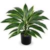 Oairse Pianta artificiale dracaena da 48 cm in vaso con vaso nero artificiale Dracaena piante tropicali artificiali per bagno, soggiorno, ufficio, scrivania, mensola, verde