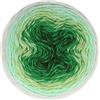 Scheepjes Whirl-Fine Art 220g - 653 Fauvism, Verde e Grigio