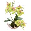 Generico 1 Pezzo Orchidee Artificiali Viola in Vaso Orchidea Farfalla Verdi Finte, Decorazione per Soggiorno, Camera da Letto, Bagno, Fiore Bianco, 27 cm (verde)