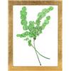 Rahmendesign24 Cornice portafoto Milano in vetro doppio, 18 x 24 cm, colore: oro
