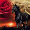 SYMON punto croce kit completo,Rose rosse e cavalli,11CT tela punto croce,principianti ricamo punto croce stampato,40×40cm