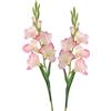 BQEE Set di 2 fiori di gladiolo artificiali a gambo lungo per decorazione di casa/matrimonio/ufficio (rosa corallo)