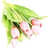 Oceanlend 7 tulipani artificiali, tulipani finti realistici al tatto, in lattice, fiori artificiali per matrimoni, casa, giardino, decorazione (rosa), WW247V8YJS91MAOZI32S925