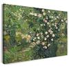 Printed Paintings Stampa su Tela con Telaio (80x60cm): Vincent Van Gogh - Rose - Quadri Moderni