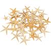EXCEART , 1 Scatola di Stelle Marine Naturali, Decorazioni costiere nautiche, centrotavola per Fai da Te, Artigianato, Matrimoni