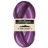 Scheepjes - Scheepjes Arcadia 901 Erica - Resistente Calzino Filato - 1x100g