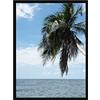 RK Cadres Cornice su Misura 46x61 o 61 x 46 Cornice portafoto Nero, 2 Centimetri di Larghezza