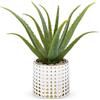 Oairse Pianta artificiale in vaso di aloe vera artificiale in vaso di ceramica, piante artificiali, decorazione per piante, soggiorno, balcone, camera da letto, bagno, camera da tavolo