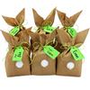 PaPIerDraCHeN 12 Coniglietti pasquali Fai da Te e da riempire a Piacere - Regalo Creativo per Pasqua con 12 Sacchetti di Carta, Cordoncino e Pompon - per Bambini
