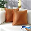mixeoo Coprifedere per Cuscini Decorativi Comodi Color Terracotta Quadrati Solidi in Velluto Spesso Super Morbido Fodere per Cuscini Arredo Casa per Divano Poltrona Soggiorno Sedia, Set di 2, 50 x 50