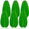 BITEFU 6 foglie di banana artificiali, grandi foglie tropicali, verde, foglia di banana per hawaiana, luau, feste, casa, cucina, matrimoni, decorazioni per la casa