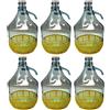 Firmadigaranzia srl 6 x Damigiana, Fiasco, Bottiglie di Vetro, da 5 l, con Chiusura a Tappo ERMENTICO e cestello - Dama Vetro 5L per Acqua Vino Olio - BOCCIONE Vetro per STOCCAGGIO