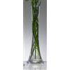 Sandra Rich, Vaso in vetro Big Solifleur concavo, trasparente, tagliato a caldo, 40 cm di altezza, diametro: 11 cm, Vetro, clear, 50 cm