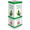 KOS SRL FICUS CARICA MG 100ML GTT