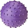 Classic Pet Products Palla per brufoli con campanella, 60 mm, Colore: Viola