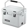 Dometic Nevera port?til - DOMETIC - Patrol 20 - 19L - Asa de transporte de acero inoxidable - Mantiene el hielo durante varios d?as - Blanco