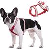 BT Bear Pettorina per cani, con strass e cristalli, regolabile, con fibbia sicura, per cani di piccola taglia (rosso, XS)