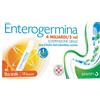 OPELLA HEALTHCARE ITALY Srl Enterogermina 4 miliardi sospensione orale per il ripristino della flora microbica intestinale - 10 flaconcini 5ml