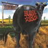 Universal Music Dude Ranch (DVD) blink-182