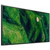 Sony Monitor professionale Led 65'' Philips 4K UHD 3840x2160p 8ms classe D Nero [FW65BZ35PB.CEI]