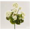 Geranio Cespuglio artificiale x7 H48 B7 Ivory EDG