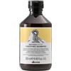 Davines Purifying Shampoo 250ml - Antiforfora