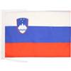 AZ FLAG Bandiera Slovenia 45x30 cm Slovena Poliestere 100D Cordini