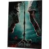 SD TOYS Poster Harry Potter e Voldemort, Multicolore, 41 x 31 x 3 cm