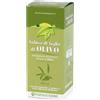 Farmaderbe Olivo Infuso Foglie 500 ml - Integratore Antiossidante
