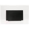 Lenovo AUO13.3HDTNAG250nit - Warranty: 6M