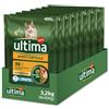 Ultima - Appetito per gatto, 400 g, confezione da 8