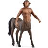 Schleich HARRY POTTER | Fiorenzo 13986 | 5 x 12 x 12 cm