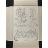 Panini ASTERIX SINE TEMPORE TREASURE BOX Ingenium Card 48/500