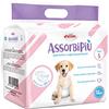 Record Assorbipiù pannolini usa e getta per cani unisex extra assorbenza. Pannolini cane con fascia elastica addominale. Confezione 12 pezzi. Taglia S, circonferenza fino a 60cm. Cani taglia piccola