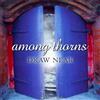 Among Thorns Draw Near (CD)