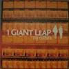 1 Giant Leap My Culture (Vinyl LP)