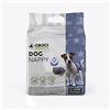 Croci Dog Nappy Jeans - Mutanda Assorbente per cani femmine, taglia L - Ø 34-48 cm, Pannolino igienico ciclo e pipi cane, Antiodore, Usa e getta, Chiusura adesiva regolabile, 10 pz