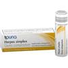 Guna Herpes Simplex Compositum - Rimedio omeopatico in granuli per l'herpes, 4 g